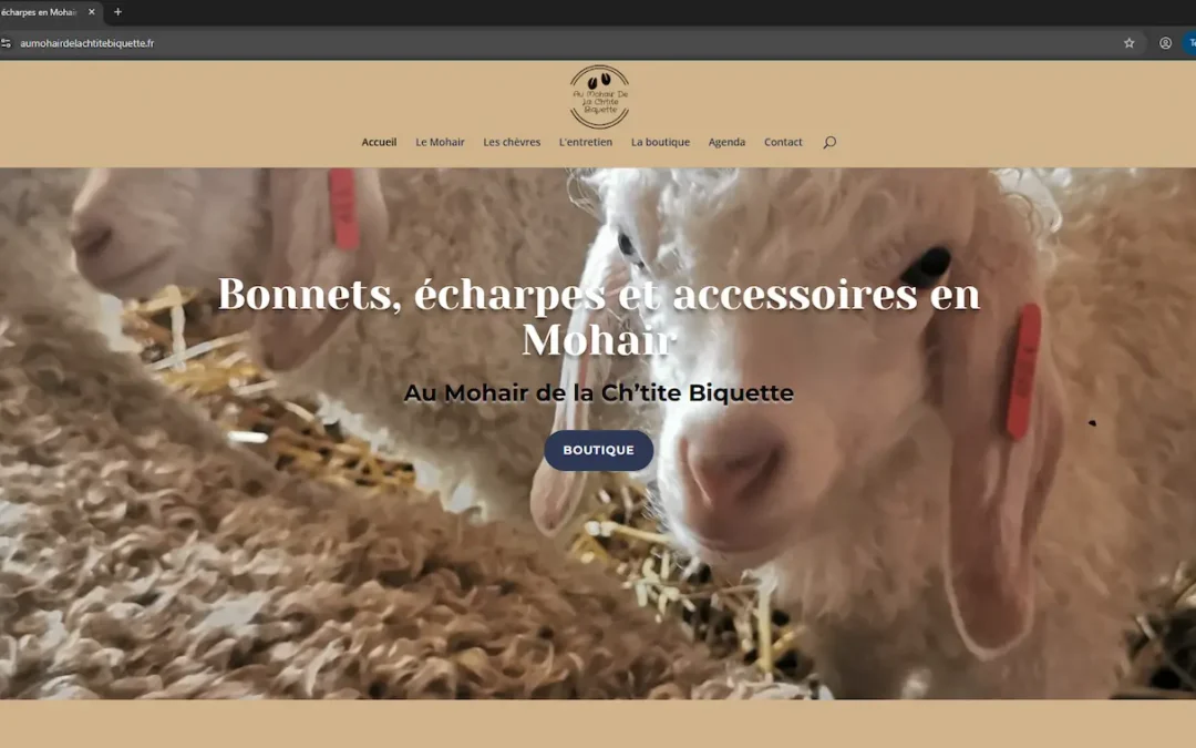 Au Mohair de la Ch&rsquo;tite Biquette — Boutique en ligne, Bours (62)