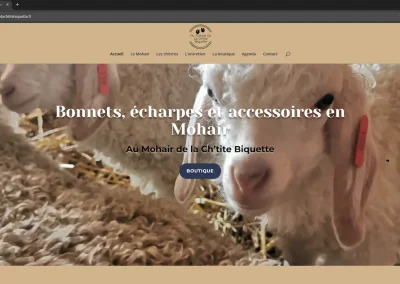 Au Mohair de la Ch&rsquo;tite Biquette — Boutique en ligne, Bours (62)